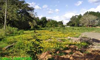 Imagem 6: CHACARA RURAL em MONTENEGRO - RS, PASSO DA AMORA