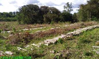 Imagem 4: CHACARA RURAL em MONTENEGRO - RS, PASSO DA AMORA