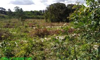 Imagem 3: CHACARA RURAL em MONTENEGRO - RS, PASSO DA AMORA