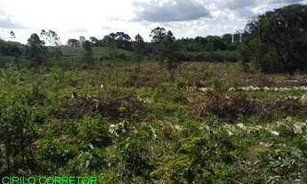 Imagem 2: CHACARA RURAL em MONTENEGRO - RS, PASSO DA AMORA