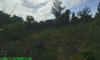 Imagem 6: CHACARA RURAL em MARATÁ - RS, MACEGA