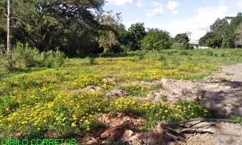 Imagem 7: CHACARA RURAL em MONTENEGRO - RS, PASSO DA AMORA