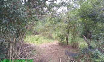 Imagem: CHACARA RURAL em MARATÁ - RS, MACEGA