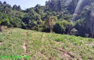 Imagem 3: CHACARA RURAL em SÃO JOSÉ DO SUL - RS, Despique