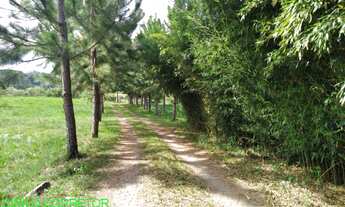 Imagem 4: CHACARA RURAL em MONTENEGRO - RS, COSTA DA SERRA