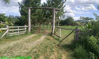 Imagem: CHACARA RURAL em MONTENEGRO - RS, COSTA