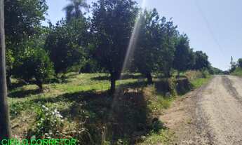 Imagem: CHACARA RURAL em SÃO JOSÉ DO SUL - RS