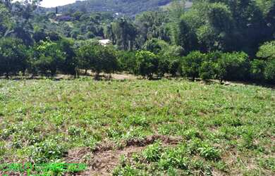 Imagem 5: CHACARA RURAL em SÃO JOSÉ DO SUL - RS, Despique