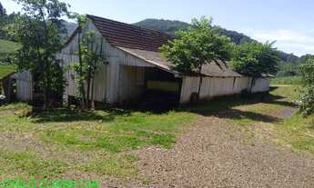 Imagem 3: CHACARA RURAL em BROCHIER - RS, NOVA HOLANDA