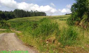 Imagem 7: CHACARA RURAL em BROCHIER - RS, NOVA HOLANDA