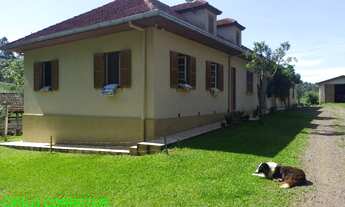 Imagem 2: CHACARA RURAL em BROCHIER - RS, NOVA HOLANDA