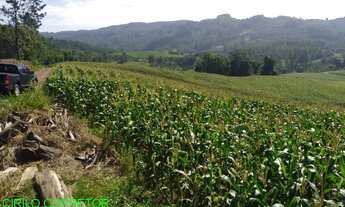 Imagem 5: CHACARA RURAL em BROCHIER - RS, NOVA HOLANDA