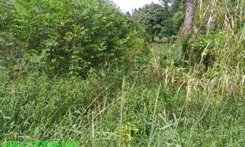 Imagem 5: TERRENO RESIDENCIAL em MONTENEGRO - RS, COSTA DA SERRA