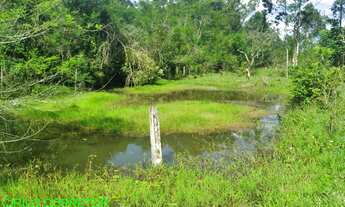Imagem: CHACARA RURAL em CAPELA DE SANTANA - RS