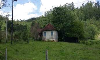 Imagem 2: Rurais à venda - no Centro