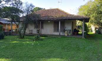 Imagem 2: Rurais à venda - no Centro