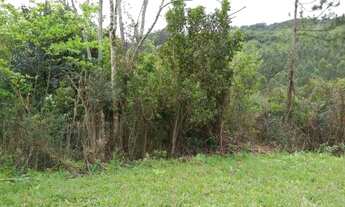 Imagem 6: Rurais à venda - no Centro