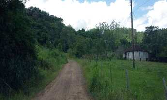 Imagem 3: Rurais à venda - no Centro