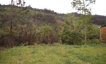 Imagem 5: Rurais à venda - no Centro