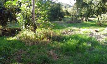 Imagem 6: Rurais à venda - no Centro