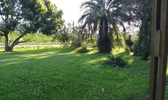 Imagem 4: Rurais à venda - no Centro