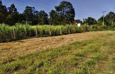 Imagem 6: Rurais à venda - no Centro