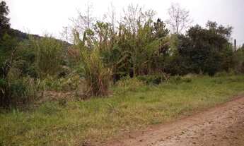 Imagem 3: Rurais à venda - no Centro