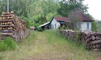 Imagem 4: Rurais à venda - no Centro