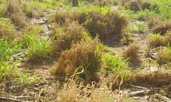 Imagem 4: TERRENO À VENDA, 270 M² POR R$ 270.000,00 - JARDIM TAMOIO - JUNDIAÍ/SP