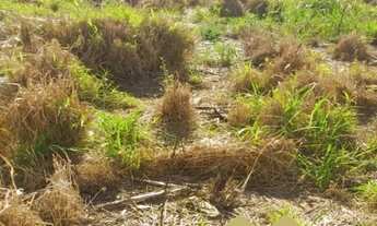 Imagem 5: TERRENO À VENDA, 270 M² POR R$ 270.000,00 - JARDIM TAMOIO - JUNDIAÍ/SP