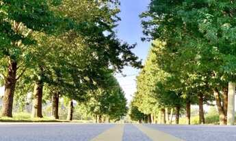 Imagem 4: Terreno com 1.013m² no Condomínio Terra Caxambu por R$550.000,00 - Caxambu - Jundiaí/SP