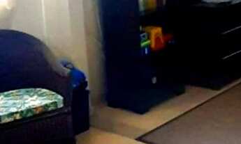 Imagem: Casa Térrea com 2 quartos e 3 vagas na