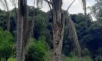 Imagem 7: Sítio na divisa de Jundiaí com Itatiba com área de 68.000m² em preço promocional