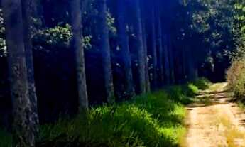 Imagem 4: Sítio na divisa de Jundiaí com Itatiba com área de 68.000m² em preço promocional