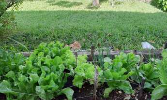 Imagem 7: Casa térrea com 3 dormitórios (1 Suíte) a venda - Vila Progresso - Jundiaí/SP