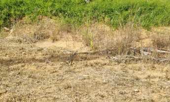 Imagem 5: Terreno de rua a Venda no Santa Eliza - Cafezal V - Itupeva/SP