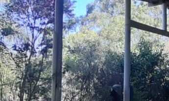 Imagem 7: Chácara com 11.000 m² em Botujuru - Campo Limpo Paulista/SP