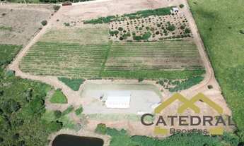 Imagem 4: SÍTIO À VENDA, 30000 M² - PINHAL - JARINU/SP