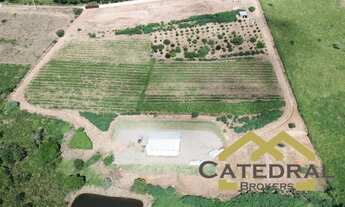 Imagem: SÍTIO À VENDA, 30000 M² - PINHAL - JARINU/SP