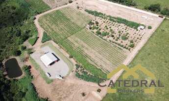 Imagem 2: SÍTIO À VENDA, 30000 M² - PINHAL - JARINU/SP