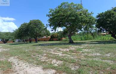 Imagem 6: Terreno à Venda em Fortim - CE, Bairro Canto da Barra 26.799,84 m² de Área Disponível!