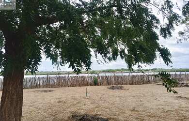 Imagem 5: Casa para venda em Aracati-CE, bairro Porto do Céu: 3 quartos, 1 suíte, 2 salas, 1 banheir