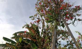 Imagem 6: Imperdível oportunidade: Casa à venda em Fortim - CE, bairro Pontal do Maceió, com 1 quart