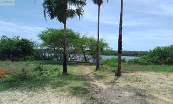 Imagem 4: Sitio à venda em Aracati-CE, no bairro Baixio, com 9 hectares de área: sua oportunidade de