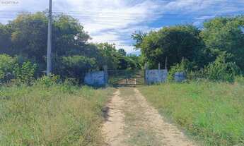 Imagem 7: Sitio à venda em Aracati-CE, no bairro Baixio, com 9 hectares de área: sua oportunidade de