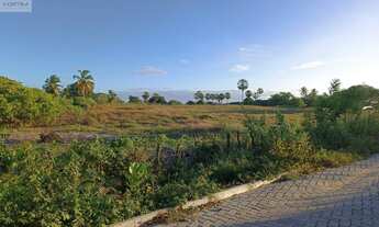 Imagem 4: Oportunidade única: terreno à venda em Aracati-CE, bairro Córrego da Nica, com 7.650,00 m²