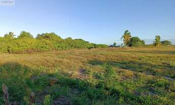 Imagem 2: Oportunidade única: terreno à venda em Aracati-CE, bairro Córrego da Nica, com 7.650,00 m²