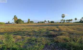 Imagem: Oportunidade única terreno à venda em