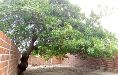 Imagem 7: CASA RESIDENCIAL em FORTIM - CE, Barra