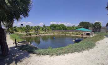 Imagem 7: SITIO RESIDENCIAL/COMERCIAL em BEBERIBE - CE, Sítio Floresta